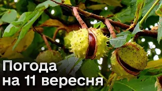 🍁 Погода на 11 вересня: прогноз на понеділок та прикмети дня