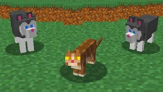 Minecraft: Gato VS 2 Depredadores (Perros)