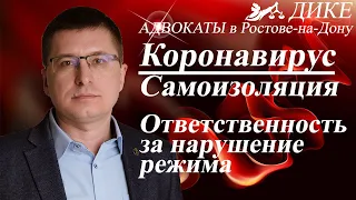 Коронавирус. Режим самоизоляции и ответственность за его нарушение