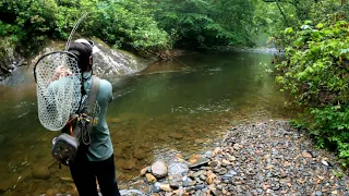 Fly Fishing with streamers in Western North Carolina