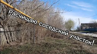 Расчищаю соседский участок!