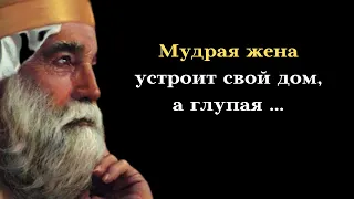 50 мудрых изречений царя Соломона о жизни. Цитаты, афоризмы и мудрые высказывания.