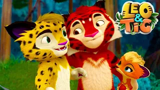 Leo and Tig 🦁 All episodes in row 🐯 Funny Family Good Animated Cartoon for Kids