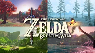 Four Seasons | A Few of My Favorite Scenes | Zelda: Breath of the Wild