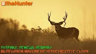 theHunter Classic/Рубрика: помощь новичку/Миссии на чернохвостого оленя ч.1/Mule Deer missions p. 1