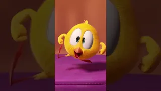 SHORTS CHICKY | DISCO DANCE 🕺 Where's Chicky #shorts