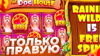 ПОКУПАЮ ТОЛЬКО ПРАВУЮ БОНУСКУ В THE DOG HOUSE MEGAWAYS ( ПОЙМАЛ ЗАНОС? )