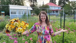 Cut Flower Farm Tour  |  Dahlia and Zinnia Abundance