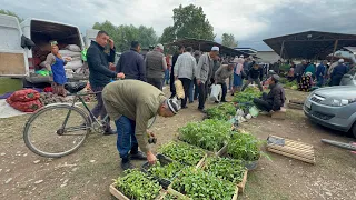 ГОВБОЗОРИ ЧИЛСОЛАГИ РЕГАР НАРХИ ГУСФАНД ГУШТ ПИЕЗ САБЗИ КАРТОШКА 4 мая 2024 г.