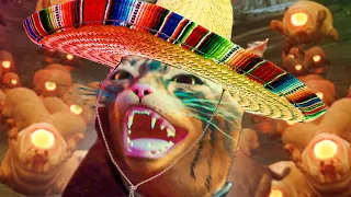 Stop Hissing and RUN! - STRAY Mexican Cat [Part 3]