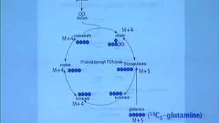 Tumor Cell Signaling and Metabolism