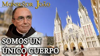 La Iglesia, El Cuerpo Místico de Cristo  | Mons. João Clá #Meditacion