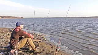 The Fish Were STACKED in ONE FOOT OF WATER!! (Spring Fishing)
