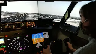 Flying the 737-MAX Simulator (Her first time flying any type of plane)