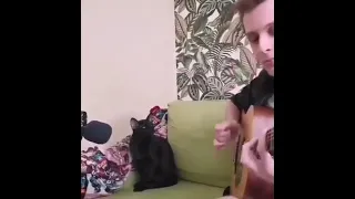 Cat singing blues - kitty cat blues (February 2022)