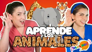 Animales, Colores y Más | Aprende Español | Spanish Learning Video for Babies & Toddlers | TeleLingo