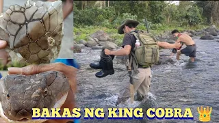 MALA MONSTERS KING COBRA SA NAGCARLAN LAGUNA ..