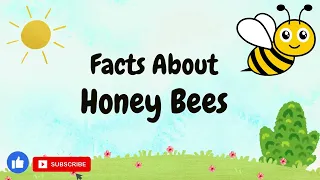 Facts About Honey Bees