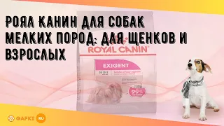 Роял Канин для собак мелких пород: для щенков и взрослых