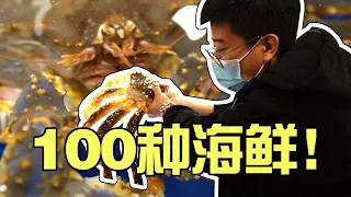 【井盖】北京 | 100种海鲜随便选，广式排档大还原！