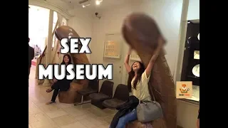 10 Shockingly Weirdest Museums In The World