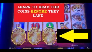 Casino: Learning HOW to READ the COINS BEFORE THEY LAND Buffalo Gold Slot Machine Tutorial & Play