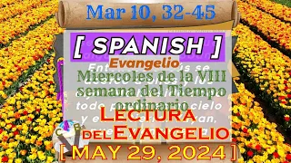 Lectura del Evangelio EVANGELIO ~ ESPAÑOL ~ ll MIERCOLES  05 29 24    Mar 10#  32 45