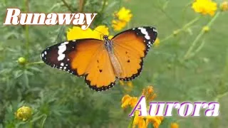 Beauty of Nature | 4k ultra hd video | runaway aurora | nature video 4k | runaway tiktok | #nature