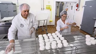 Food Factory USA 2 : Comment fabrique-t-on le fromage de chèvre ?