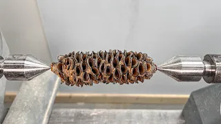 Woodturning - Banksia Nut to Functional Item