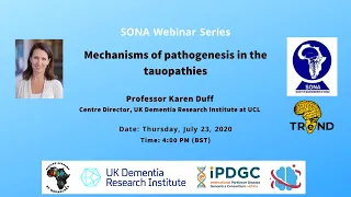 Mechanisms of pathogenesis in the tauopathies │ Professor Karen Duff