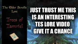 Tamriel's Most Interesting Trees - The Elder Scrolls Lore