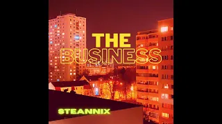 Steannix  - The Business Remix