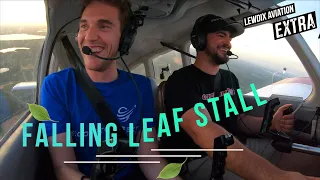 Falling Leaf Stall | LewDix Aviation EXTRA