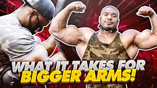 WHAT IT TAKES FOR BIGGER ARMS!