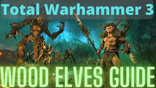 Wood Elves In Depth Guide! TW3 Immortal Empires