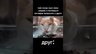 мем #579# #shorts# #meme# #хахаахаха#