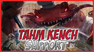 3 Minute Tahm Kench Guide - A Guide for League of Legends