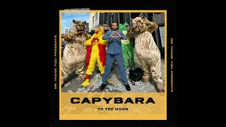 Capybara to the moon.......#dubai #music #song #viral #viralvideo #popular #trending #money