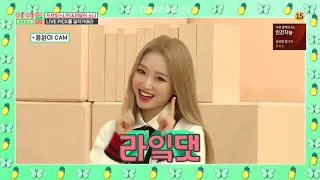 [LOONA] 이달소 고원=콩원이 CAM, 라잌댓