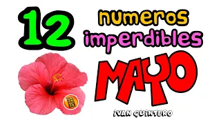 Los 12 Números SALIDORES de MAYO  | La Tablita Tv