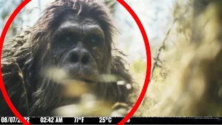 THIS BEAST Appeared In Our Trail Cam Footage | Compilation