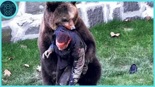 10 UNBELIEVABLE Bear Attacks Caught on Camera!