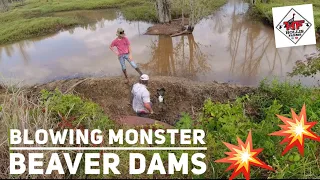 BLOWING MONSTER BEAVER DAMS🦫🦫🦫 4 In One Day