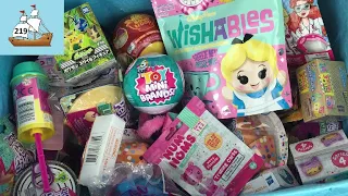 Blind Bag Ship # 219 Disney Wishables Littlest Pet Shop LOL Surprise Minis Pokemon Mashems Pikmi Pop