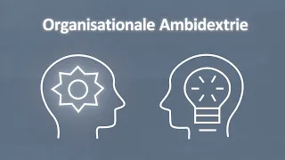 Literaturfilm: Animierter Infotrailer zu "Ambidextrie in Organisationen"