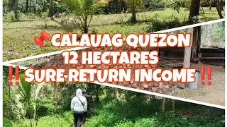 Vlog-009 CALAUAG QUEZON/FARM LOT/ ‼️Sure Return Income. ‼️Read the Description Below‼️