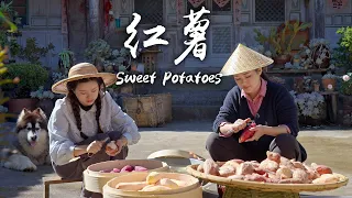 “Tracking the Roots” - Colored Sweet Potatoes in Yunnan Plateau’s Red Soil