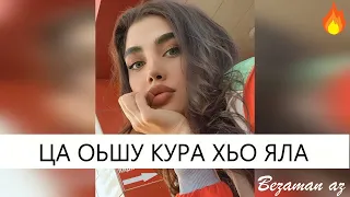 Чеченская песня Ца Оьшу Кура Хьо Яла😍