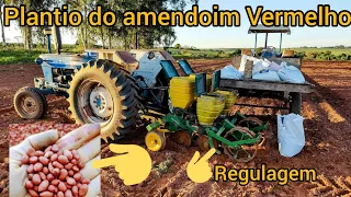 Plantio de amendoim Tatu | Dicas de plantio, regulagem da plantadeira Tatu T2Si 2 linhas e Ford 4600